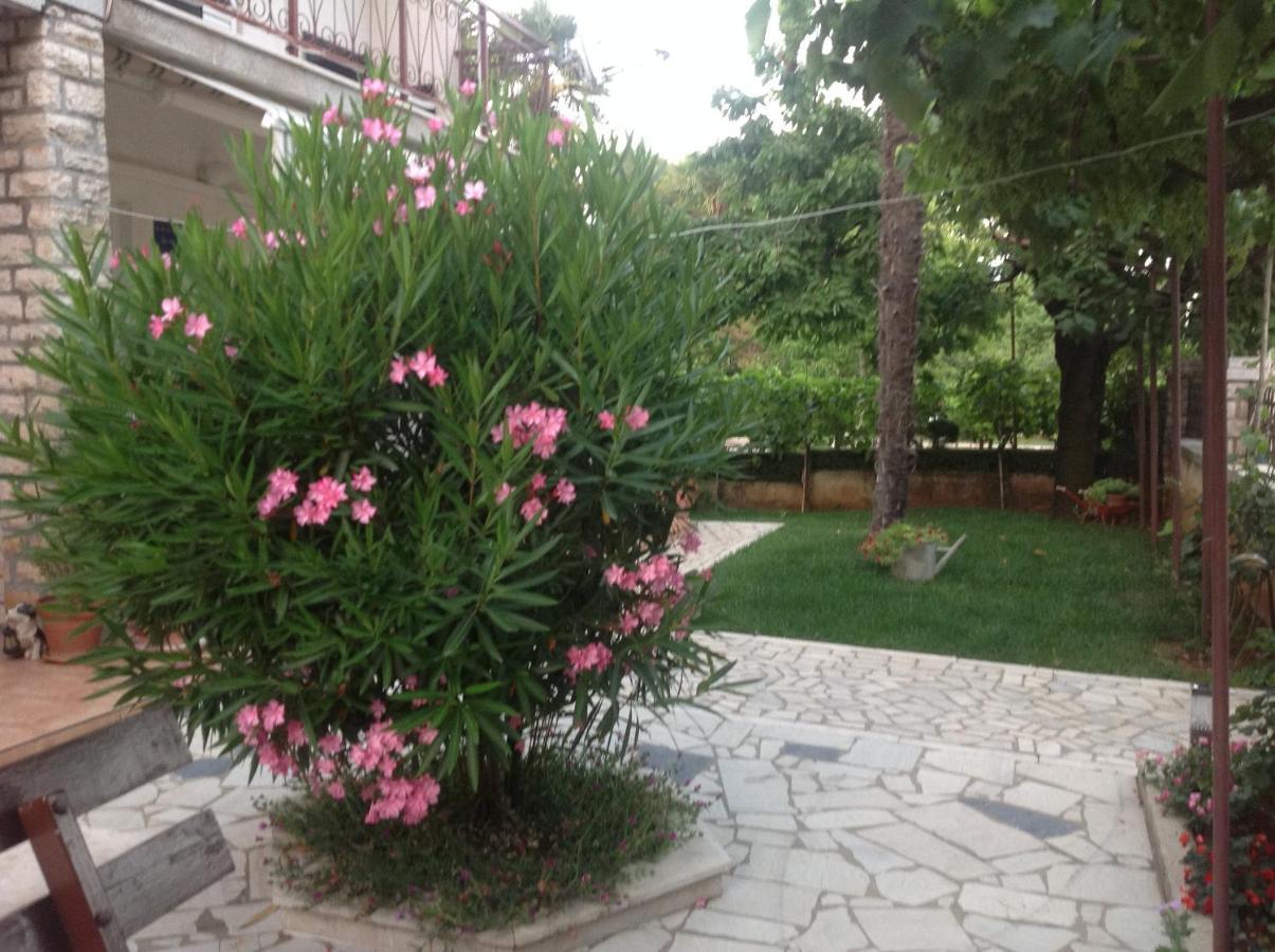 Vila Alma Πόρετς Εξωτερικό φωτογραφία